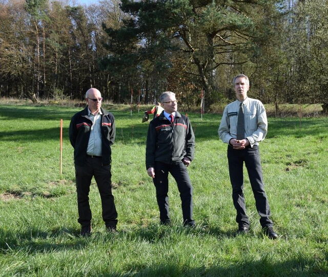 Ausgleichspflanzung