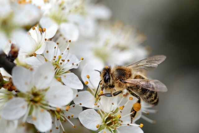 Frische Energie im Frühling