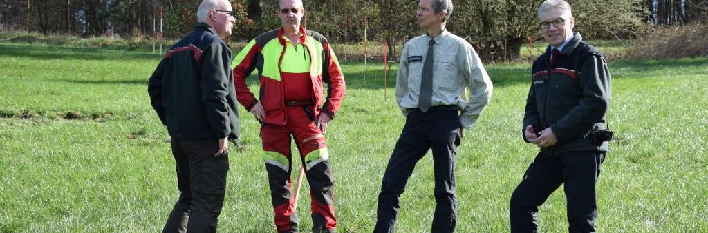 Ausgleichspflanzung